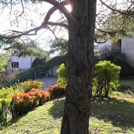 I Tre Faggi Apartment Albese Con Cassano Exterior photo